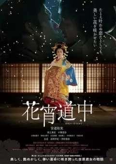 最新神马午夜电影院,揭秘深夜观影的独特魅力